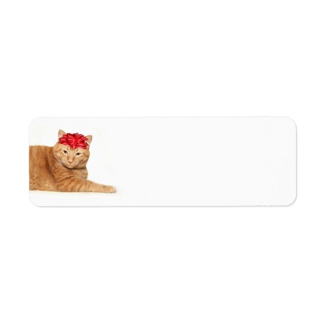 Tabby Christmas (Front)