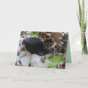 tabby christmas cat greeting card