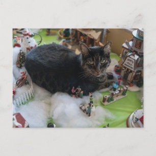 tabby christmas cat postcard