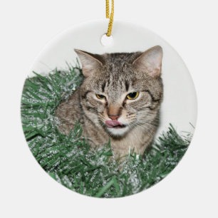 Tabby Christmas Ceramic Ornament