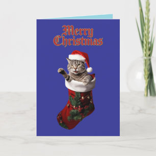 Tabby Christmas Stocking Holiday Card