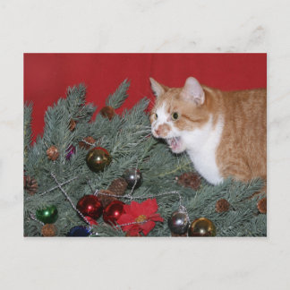 Tabby Christmas tree Holiday Postcard