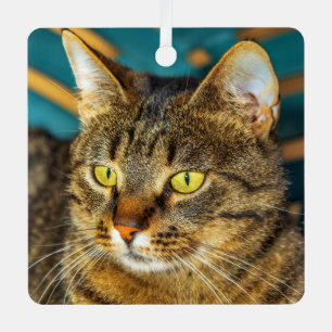 Tabby Gris Chat Métal Ornement