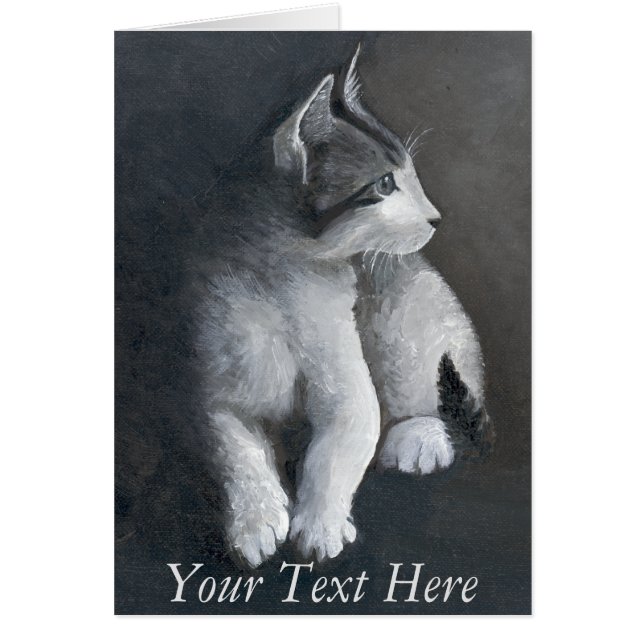 Tabby Kitten (Devant)