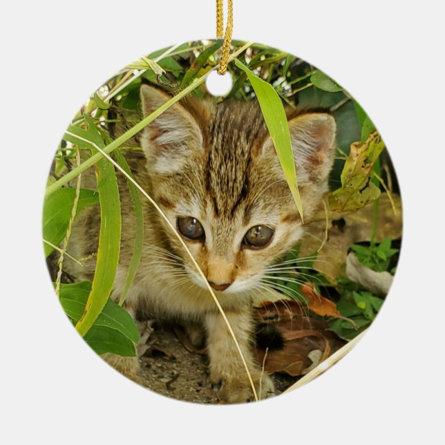 Tabby kitten ceramic ornament (Front)