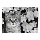 Tabby kitten en azalées