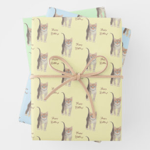 Tabby Kitten Feuilles de papier à envelopper perso