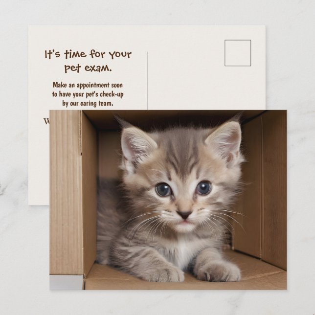 Tabby Kitten For  Pet Exam Postcard (Front/Back)