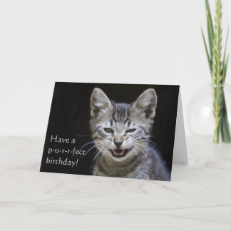 Tabby Kitten Happy Birthday Card