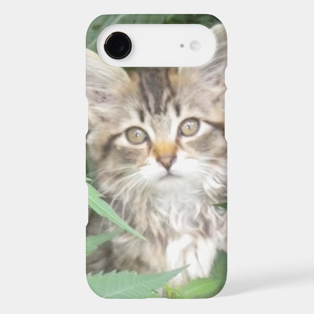 Tabby Kitten iPhone 6 case (Back)
