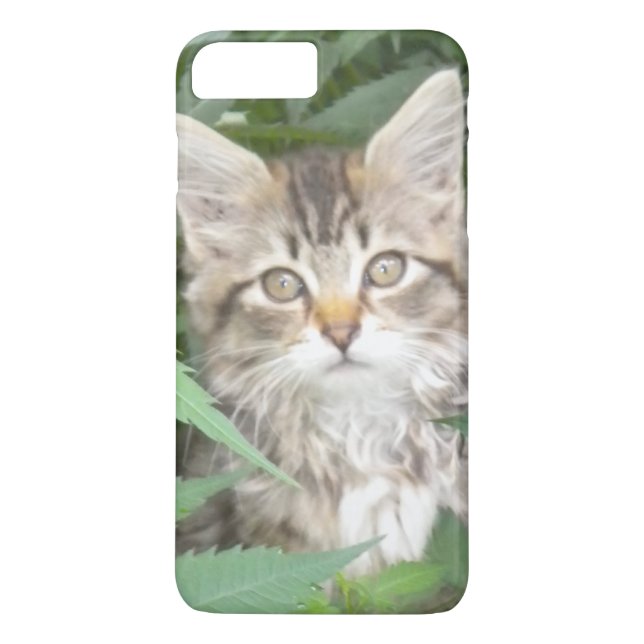 Tabby Kitten iPhone 7 plus case (Back)