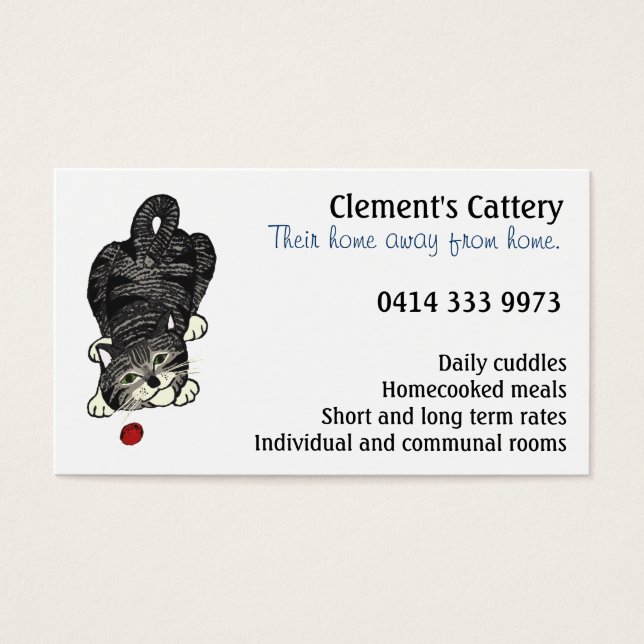 Tabby Kitten joueur (Devant)