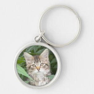 Tabby Kitten Keychain