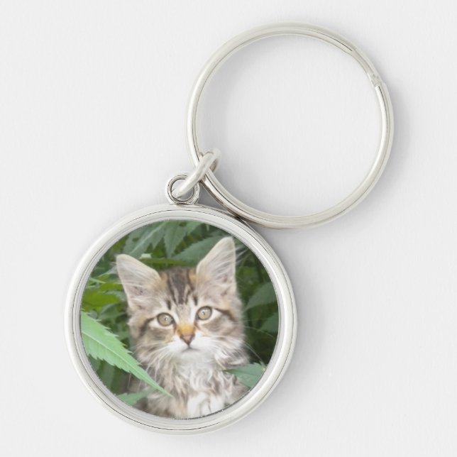 Tabby Kitten Keychain (Front)