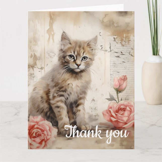 tabby kitten Merci 13 (Devant)