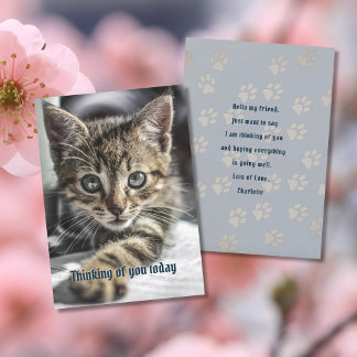 Tabby Kitten Penser à votre carte de message