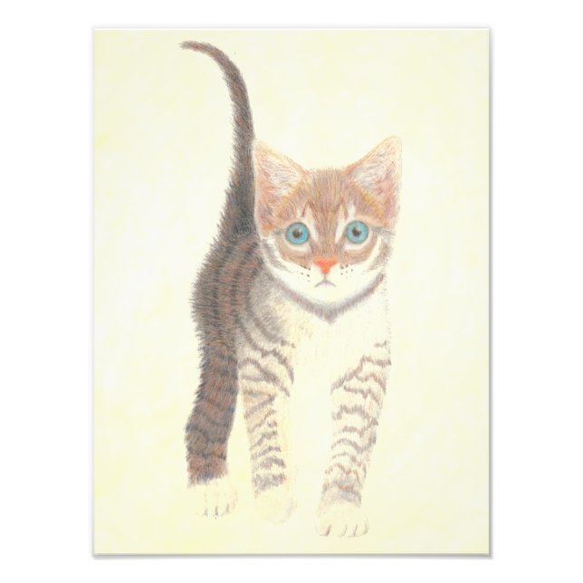 Tabby Kitten Poster (Devant)