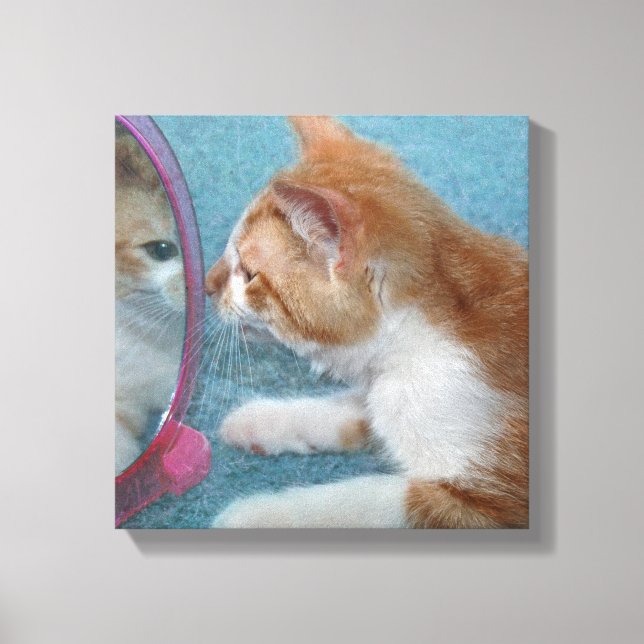 tabby kitten reflection in mirror canvas print (Front)