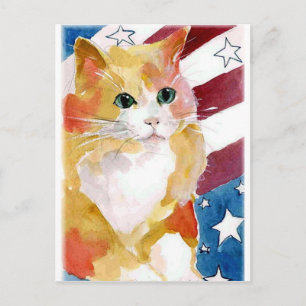 Tabby Kitten Stars & Stripes Postcard