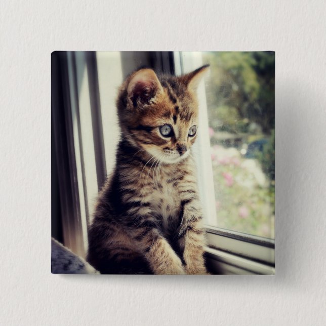 Tabby Kitten Watching 2 Inch Square Button (Front)