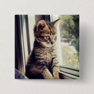 Tabby Kitten Watching 2 Inch Square Button