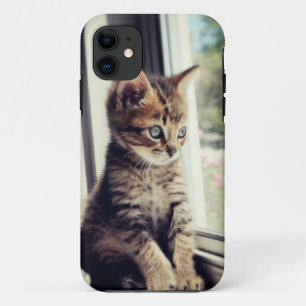 Tabby Kitten Watching iPhone 11 Case