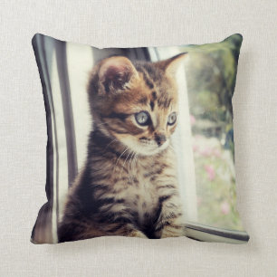 Tabby Kitten Watching Throw Pillow