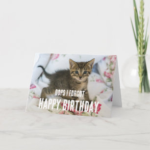 Tabby Kitten with Surprised Look Forgot Birthday Card