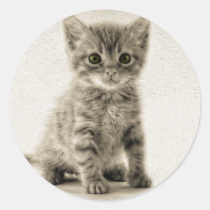 Tabby Kitty Classic Round Sticker