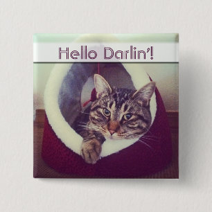 Tabby Kitty In Hut Close-Up Photograph 2 Inch Square Button