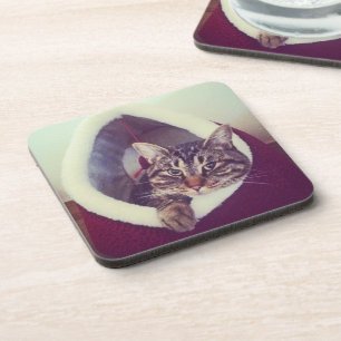 Tabby Kitty In Hut Close-Up Photograph Coaster