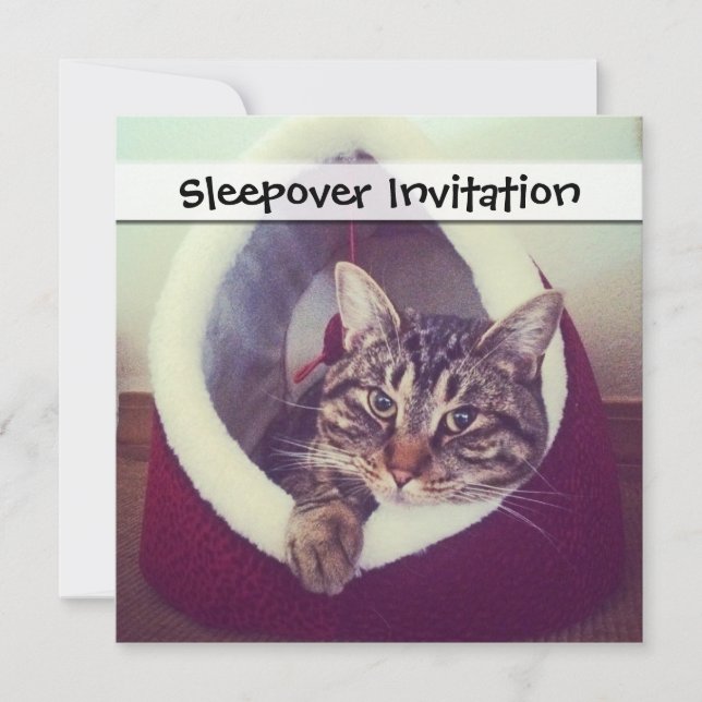 Tabby Kitty In Hut Close-Up Photograph Invitation (Front)