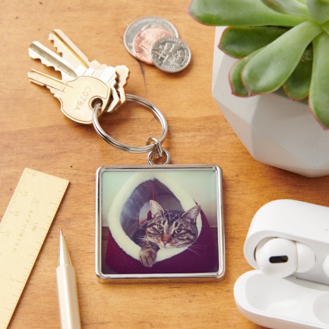 Tabby Kitty In Hut Close-Up Photograph Keychain (Desk)