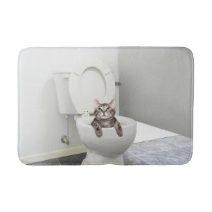 Tabby kitty in toilet bath mat