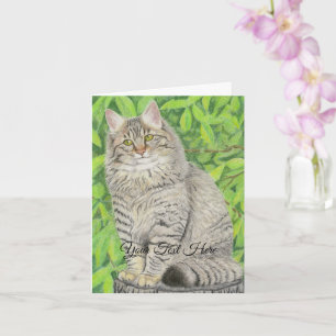 Tabby Longhair Card