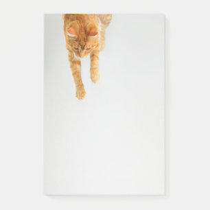 Tabby orange Post-it® Notes 4 x 6