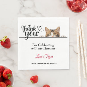 Tabby Peeking Cat Paper Napkins