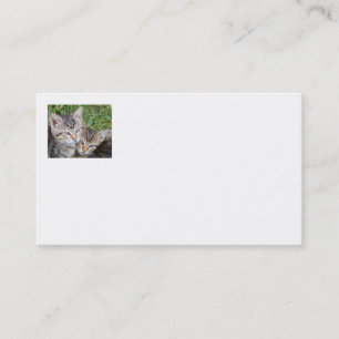 Tabby Sisters Business Cards