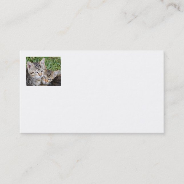 Tabby Sisters Business Cards (Front)