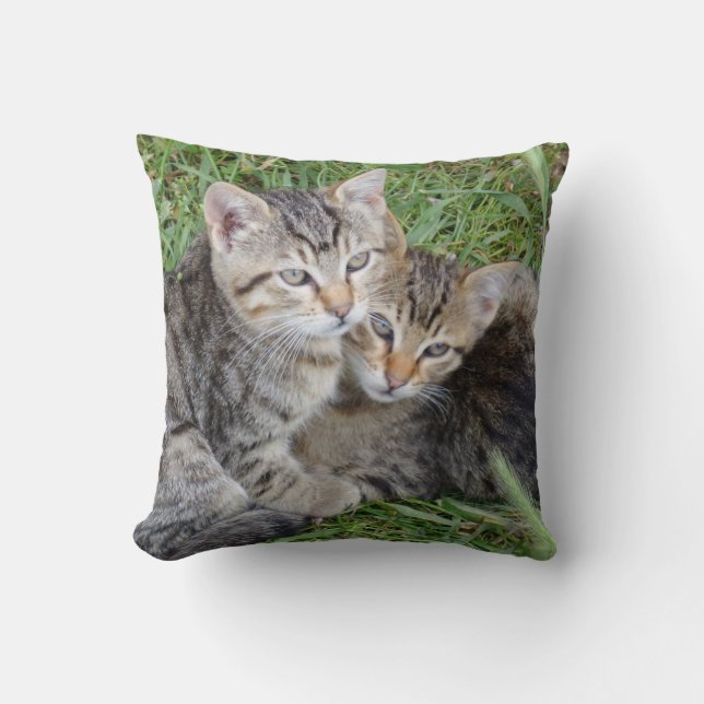 Tabby Sisters Throw Pillow (Front)