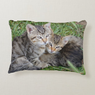Tabby Sisters Throw Pillow