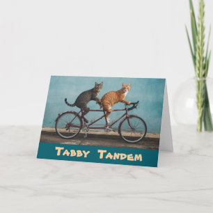 Tabby Tandem Card