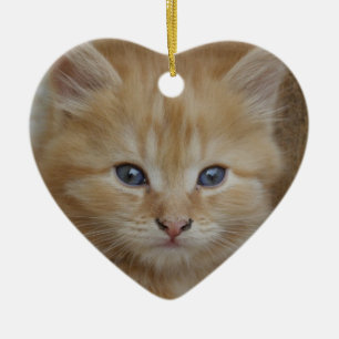 Tabby Tomcat Kitten Ceramic Ornament