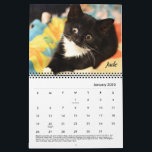 Tabby's Place calendar<br><div class="desc">Enjoy the Tabby's Place cats all year long, with this delightful calendar filled with some of our wonderful cats.</div>