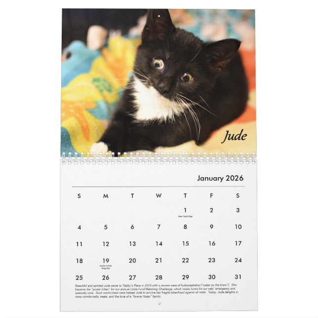 Tabby's Place calendar (Jan 2026)