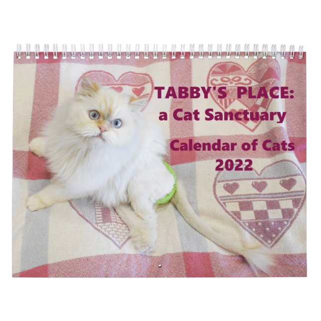 Tabby's Place Calendar 2022 (Cover)