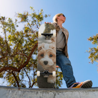 Tabla de Skate Perro Peludo Colores Crema y Blanco Skateboard
