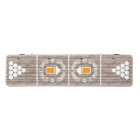 Logo de la bière Accueil et loin Équipe Rustic Woo