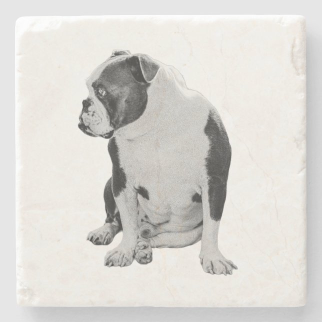 Table Cheer, Side Study Stone Coaster (Front)