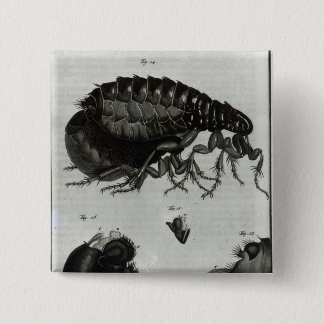 Table IV of Flies and Fleas 2 Inch Square Button (Front)
